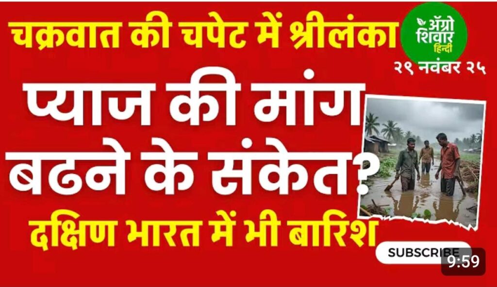 प्याज मे आयेगी तेजी… प्याज की मांग बढेगी और निर्यात होगी शुरु